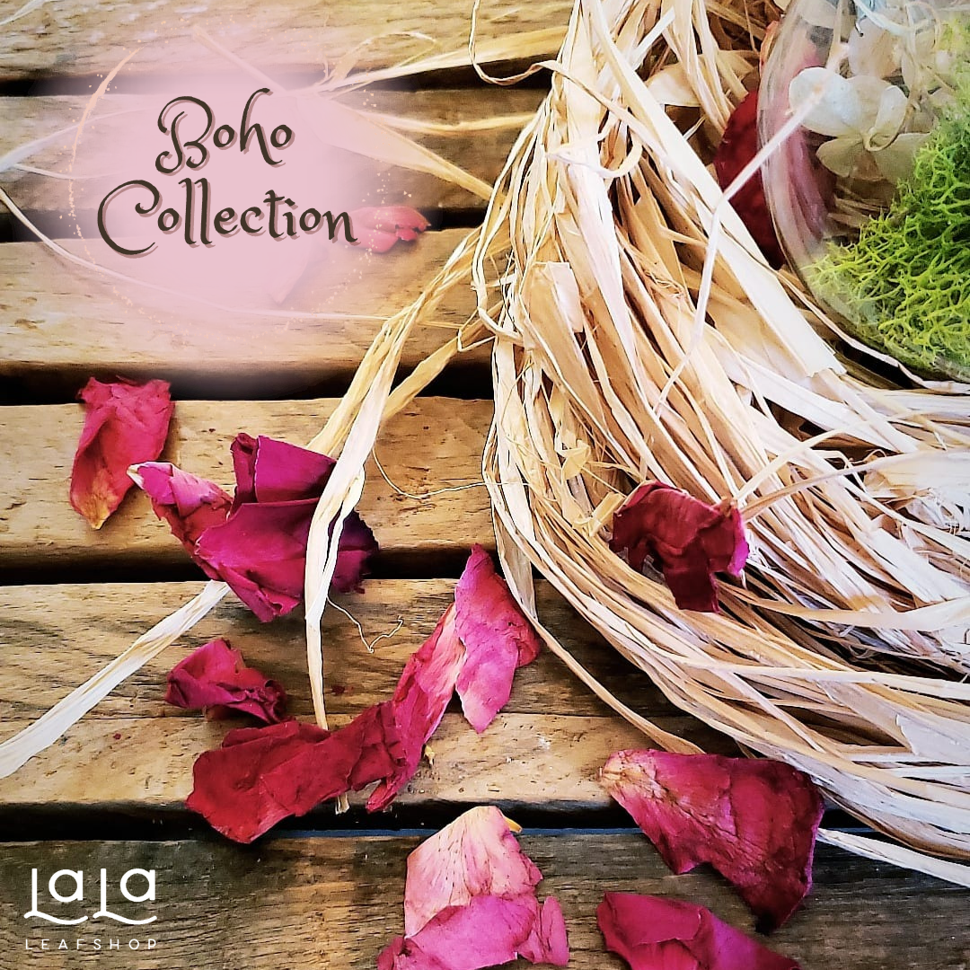 Boho Collection